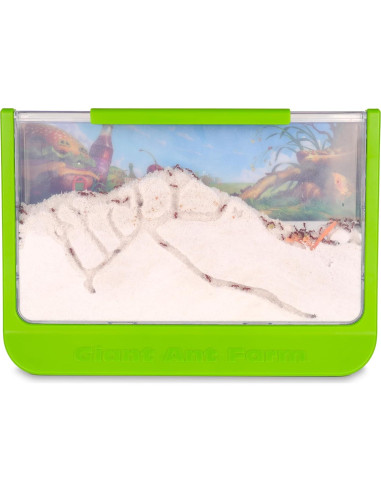 Granja de Hormigas Gigante Uncle Milton - Área Grande - Educativa