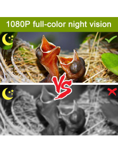 Casa de Aves con Cámara Solar Intoo Lifes HD 2K Madera 2