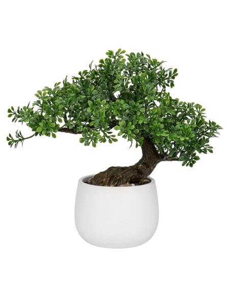 Bonsai Falso DILATATA Junípero 25,4 cm con Maceta Blanca Bonsai Falso DILATATA Junípero 25,4 cm con Maceta Blanca