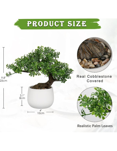 Bonsai Falso DILATATA Junípero 25,4 cm con Maceta Blanca