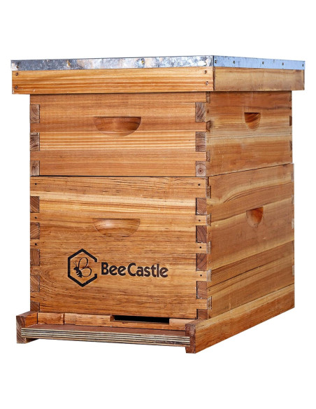Colmena completa BeeCastle 10 cuadros cera de abejas Colmena completa BeeCastle 10 cuadros cera de abejas