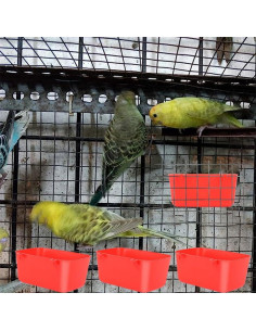 Paquete de 10 tazas cuadradas Rxsdeni para aves y pollos 2