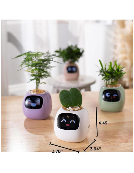 Maceta Inteligente PLANTSIO Ivy con Riego Automático Blanco Maceta Inteligente PLANTSIO Ivy con Riego Automático Blanco